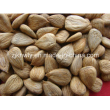 Sweet Almond (longwangmao 650 PCS/500g)